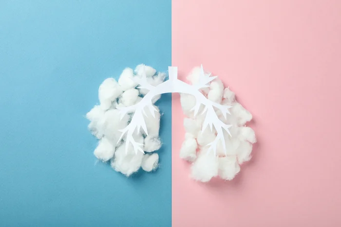 Détoxification allergies et intolérances